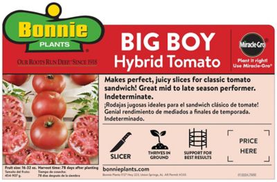 Image showing  Big Boy Tomato, 19.3 oz.