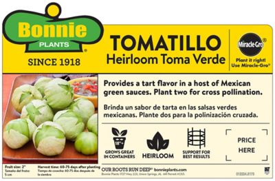 Image showing  Tomatillo 19.3 oz.