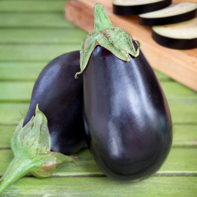 Image showing  19.3 oz. Potted Black Beauty Type Eggplant Vegetable Plant