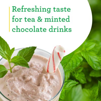 Image showing  19.3 oz. Potted Peppermint Plant