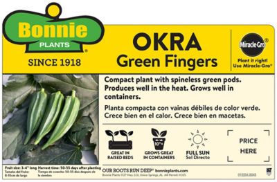 Image showing  19.3 oz. Green Fingers Okra Vegetable Plant