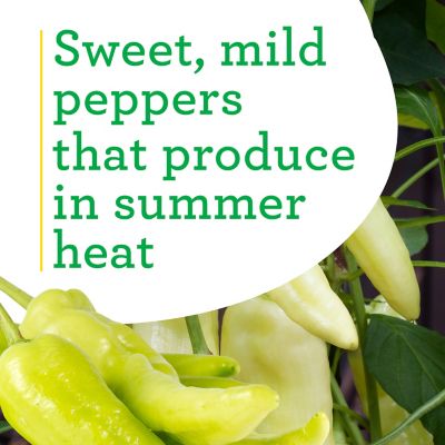 Image showing  Sweet Banana Pepper, 19.3 oz.