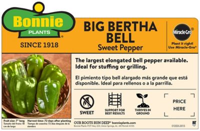 Image showing  Big Bertha Bell Pepper, 19.3 oz.