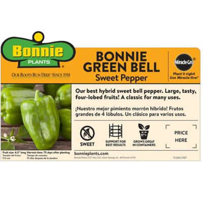 Image showing  Green Sweet Bell Pepper, 19.3 oz.