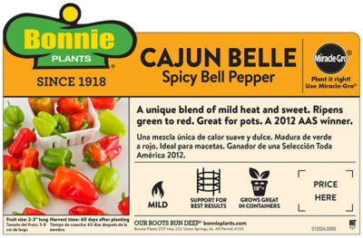 Image showing  Cajun Belle Pepper, 19.3 oz.