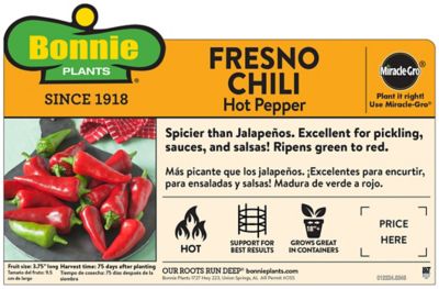Image showing  Fresno Chili Pepper, 19.3 oz.