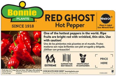 Image showing  Red Ghost Pepper 19.3 oz.