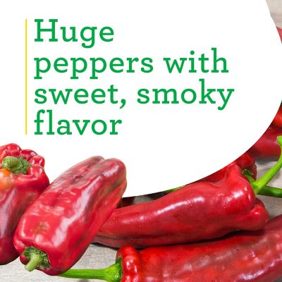 Image showing  Giant Marconi Pepper, 19.3 oz.