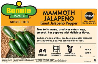 Image showing  Mammoth Jalapeno Pepper, 19.3 oz.