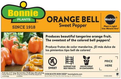 Image showing  Orange Bell Pepper, 19.3 oz.