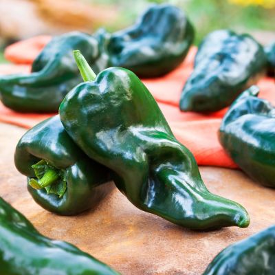 Image showing  Poblano-Ancho Pepper 19.3 oz.