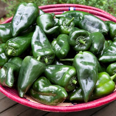 Image showing  Poblano-Ancho Pepper 19.3 oz.