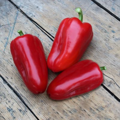 Image showing  Snacking Red Pepper 19.3 oz.