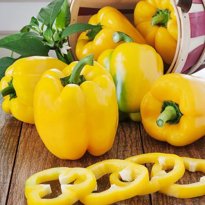 Image showing  19.3 oz. Yellow Bell Sweet Pepper Vegetable Plant