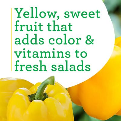 Image showing  19.3 oz. Yellow Bell Sweet Pepper Vegetable Plant