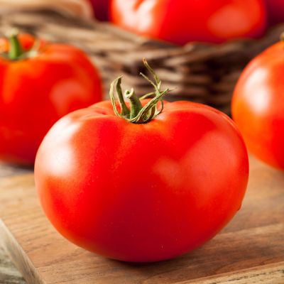 Image showing  19.3 oz. Potted Red Beefsteak Heirloom Tomato Plant