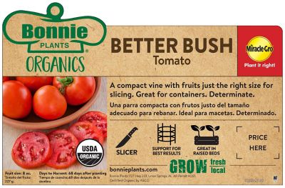 Image showing  19.3 oz. Potted Organic Better Bush Tomato Plant
