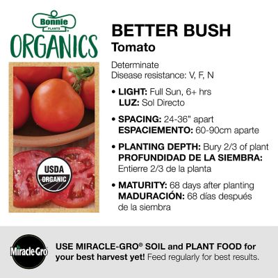 Image showing  19.3 oz. Potted Organic Better Bush Tomato Plant