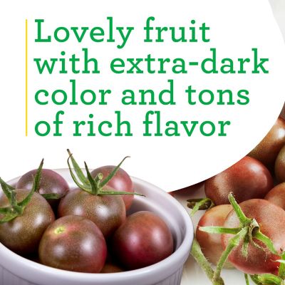 Image showing  Red Black Cherry Tomato 19.3 oz.