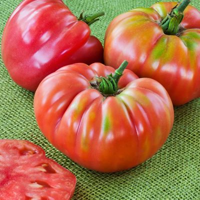Image showing  German Queen Tomato 19.3 oz.