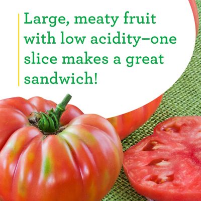 Image showing  German Queen Tomato 19.3 oz.