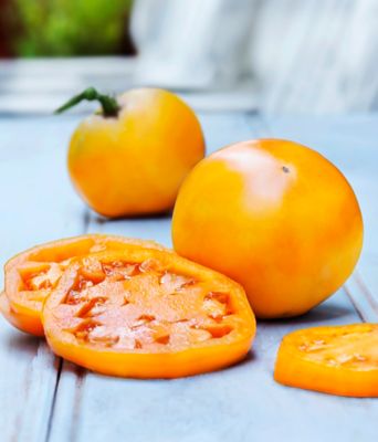 Image showing  Golden Jubilee Heirloom Tomato, 19.3 oz., Live Plant