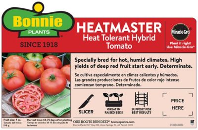 Image showing  Heatmaster Tomato 19.3 oz.