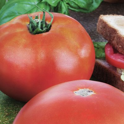 Image showing  Park's Whopper Tomato, 19.3 oz.