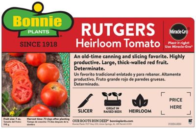 Image showing  Rutgers Tomato 19.3 oz.