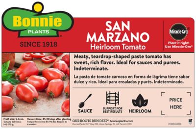 Image showing  San Marzano Tomato, 19.3 oz.