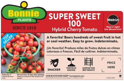 Image showing  Super Sweet 100 19.3 oz.