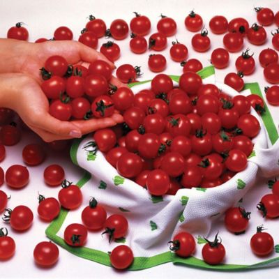 Image showing  Sweet Million Tomato 19.3 oz.