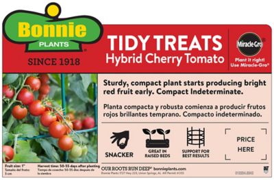 Image showing  Tidy Treats Tomato, 19.3 oz.