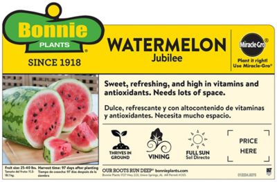 Image showing  Jubilee Watermelon 19.3 oz.