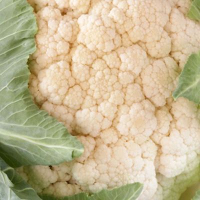 Bonnie Plants Cauliflower Plants, 6-Pack