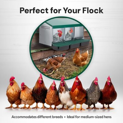 Image showing  Roll-Out 3-Compartment Chicken Nesting Box