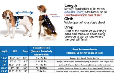 Image showing 1 th Derby Originals 600D Waterproof Dog Coat