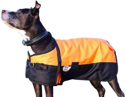 Derby Originals 600D Waterproof Dog Coat