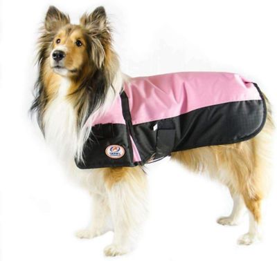 Derby Originals 600D Waterproof Dog Coat