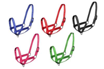 Derby Originals Nylon Calf Halter