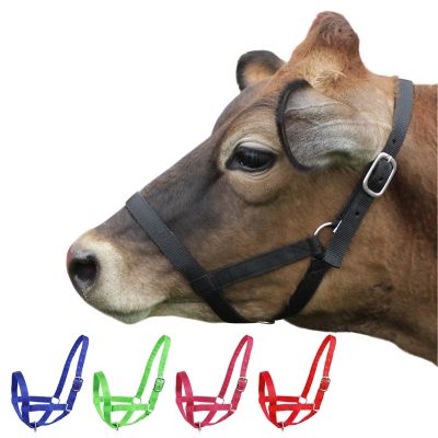 Image showing  Nylon Calf Halter