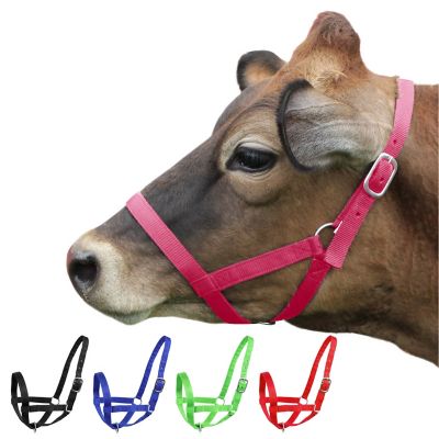 Image showing  Nylon Calf Halter