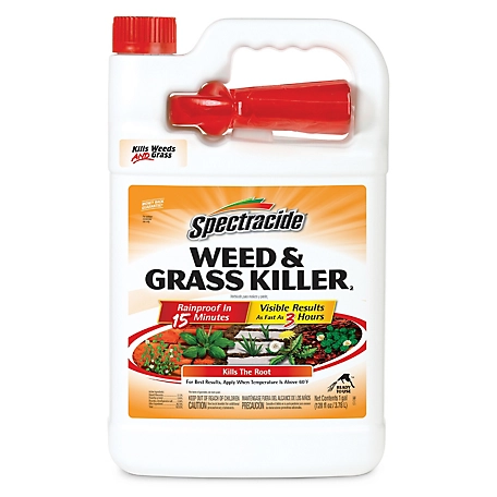 Spectracide 1 gal. Ready-to-Use Weed and Grass Killer