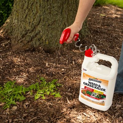 Image showing  1 gal. Ready-to-Use Weed and Grass Killer