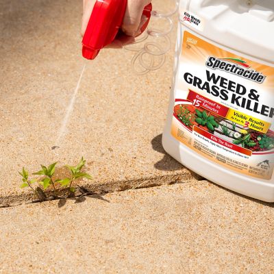 Image showing  1 gal. Ready-to-Use Weed and Grass Killer
