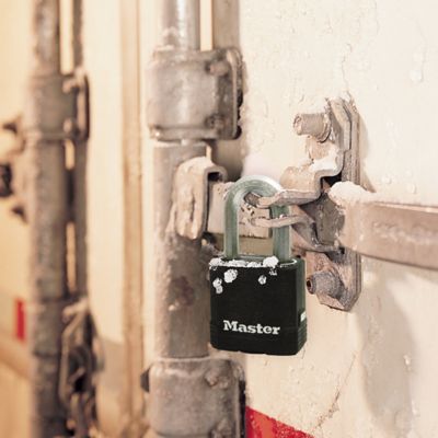 Image showing  1-1/2 in. Shackle Magnum C Steel Padlocks, 3-Pack