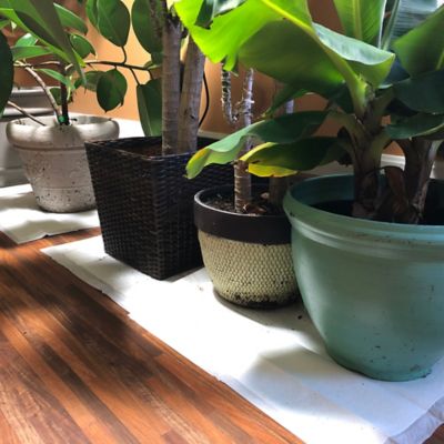 Image showing 7 th Quick Dam Wick Up Grab and Go Water Bucket