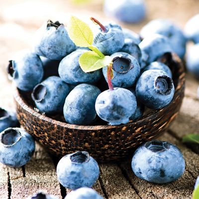 Image showing  Bluecrop Blueberry Plant