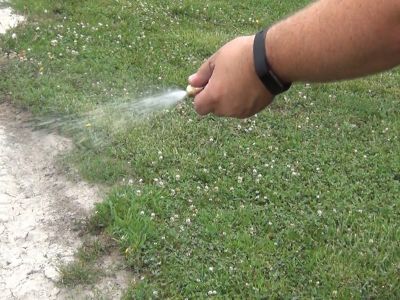 Image showing  40 Gal. 12V 2.2 GPM Deluxe Spot Sprayer