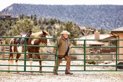 Image showing  16 ft. x 50 in. 6-Bar Economy Tube Gate, 1-3/4 in. Tube, Green